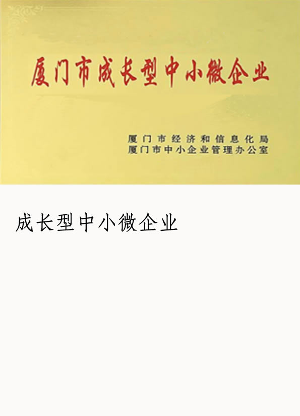 企业荣誉-成长型中小微企业