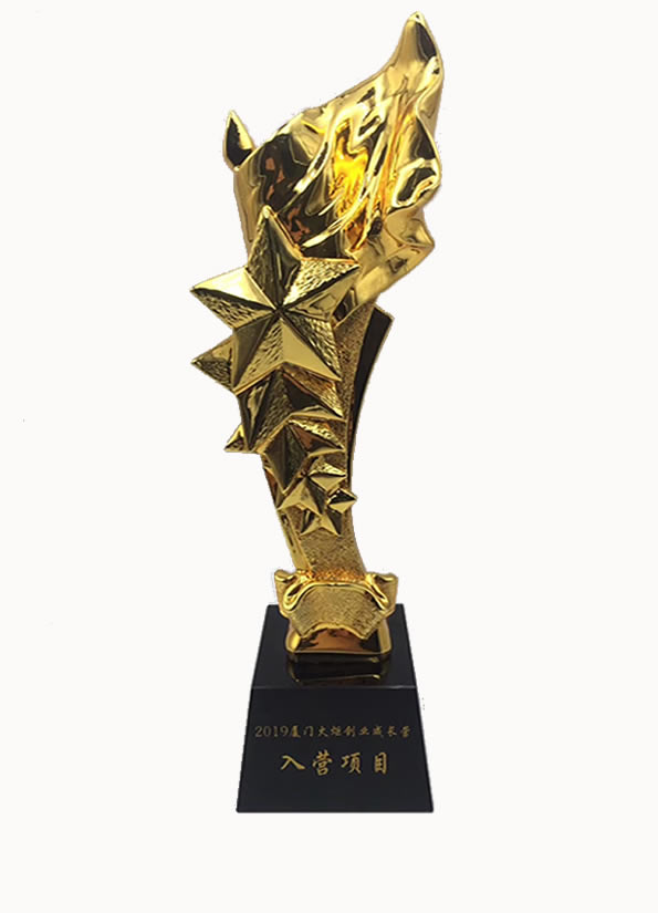 火炬创业营优秀项目