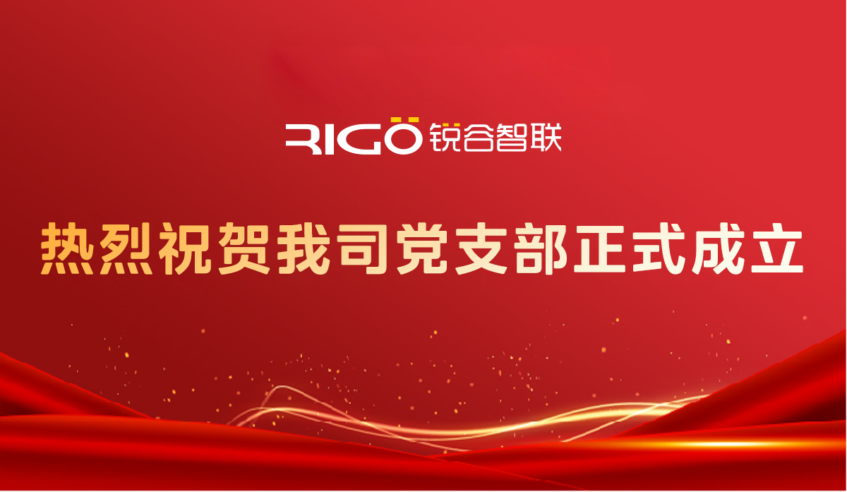 热烈祝贺我司党支部正式成立！