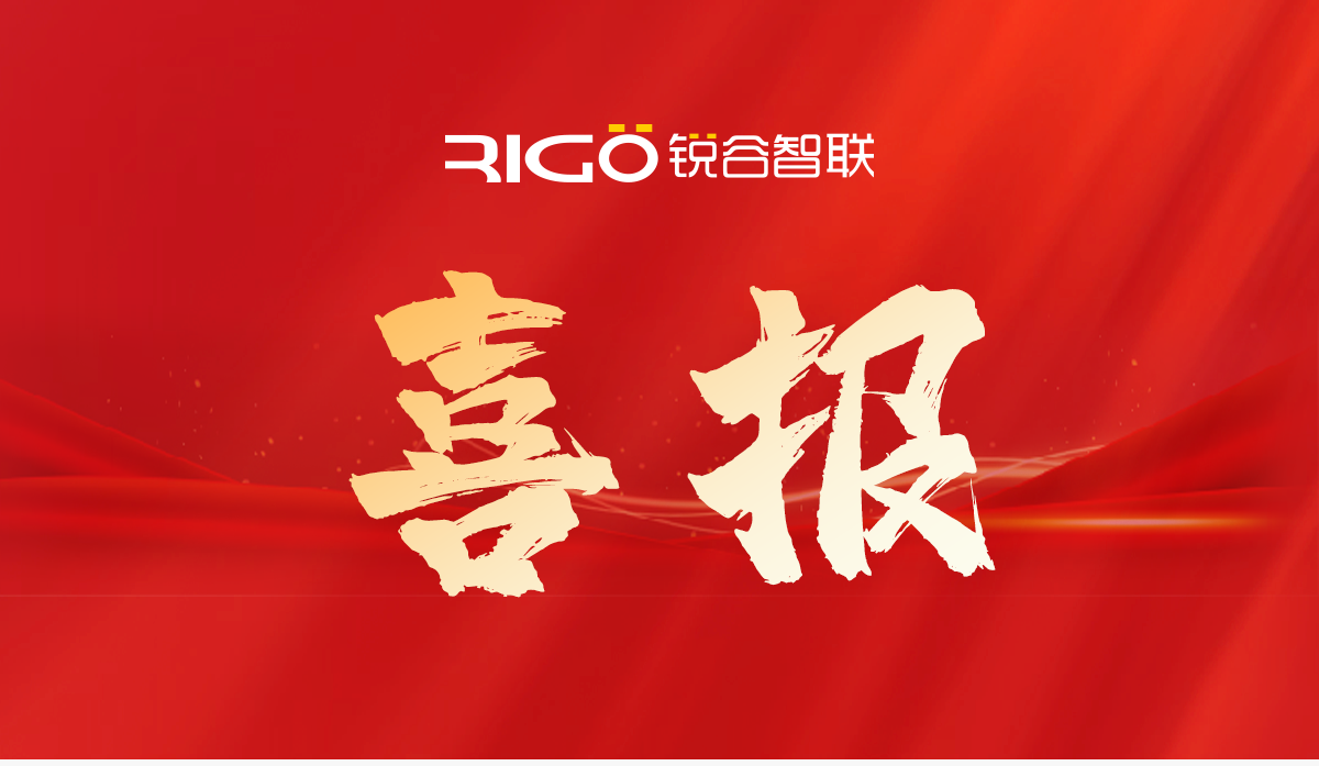 锐谷智联喜获2024年第二批软件和新兴数字产业政策资金支持！