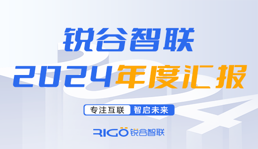 载誉启新程丨锐谷智联2024年度汇报